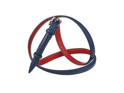 Женский ремень DS15-263